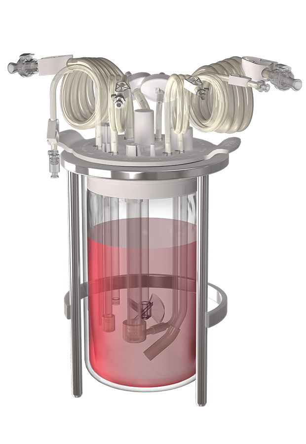 Εικόνα επιλογής