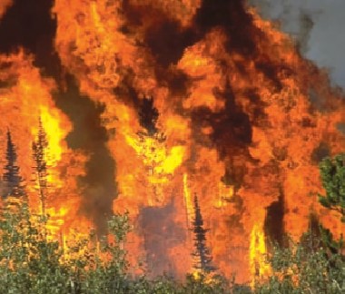 Εικόνα επιλογής