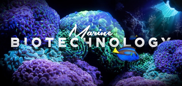 Εικόνα επιλογής