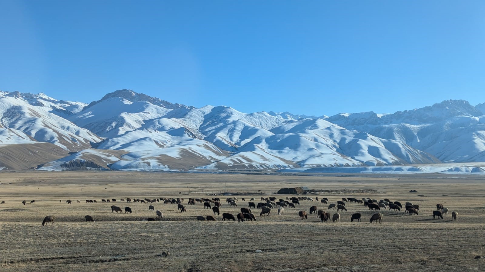 Εικόνα επιλογής
