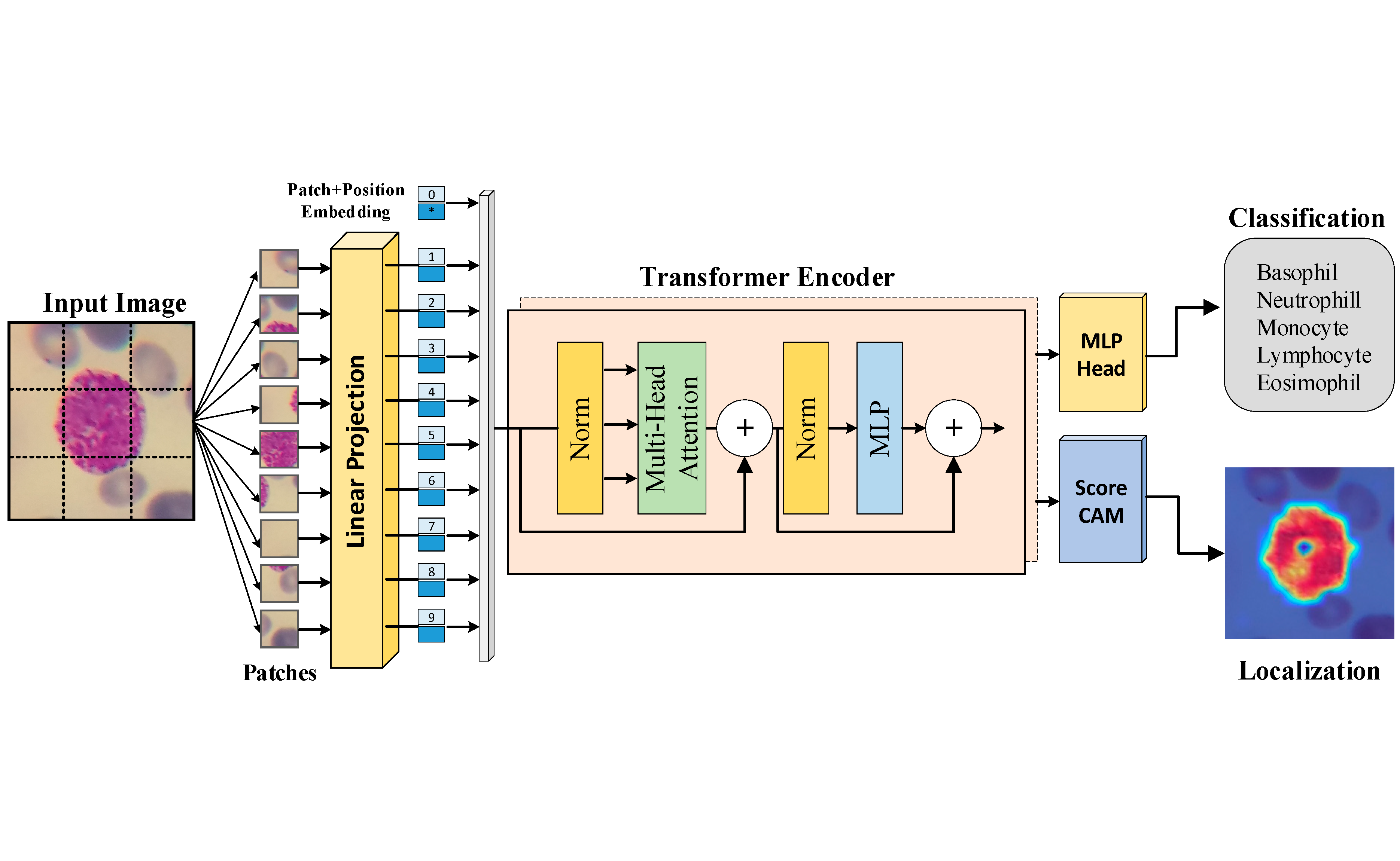 Εικόνα επιλογής